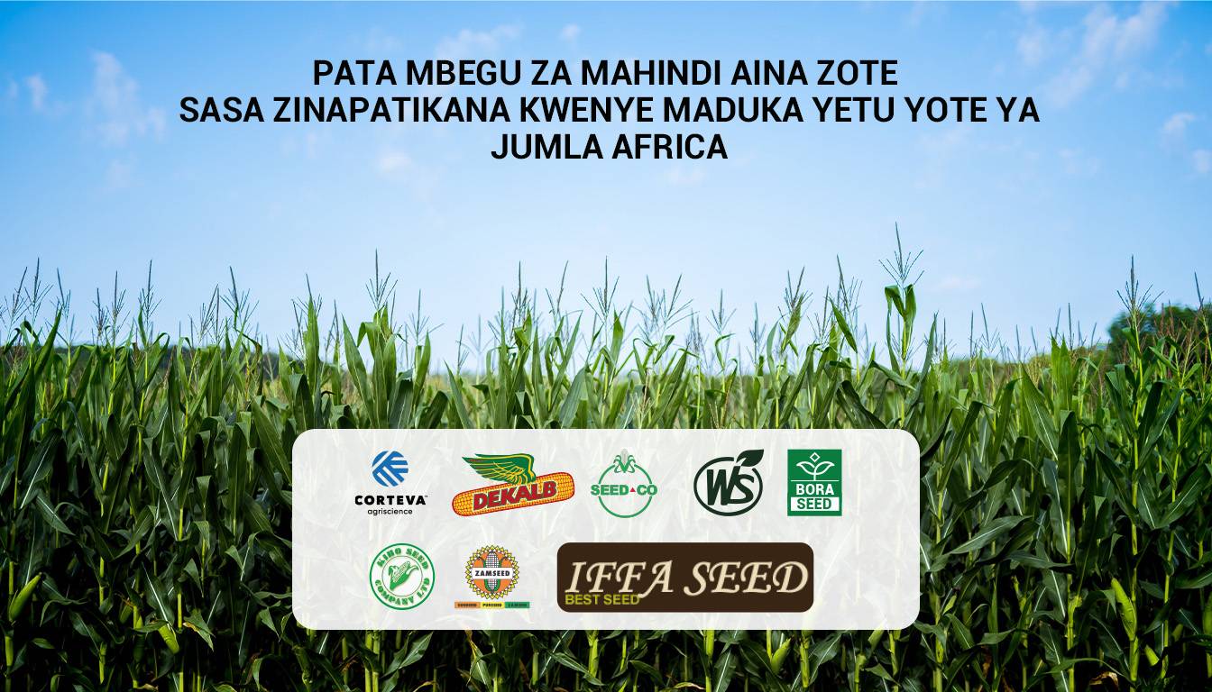 Pata mbegu za mahindi aina zote kwenye maduka yetu yote ya Jumla Africa